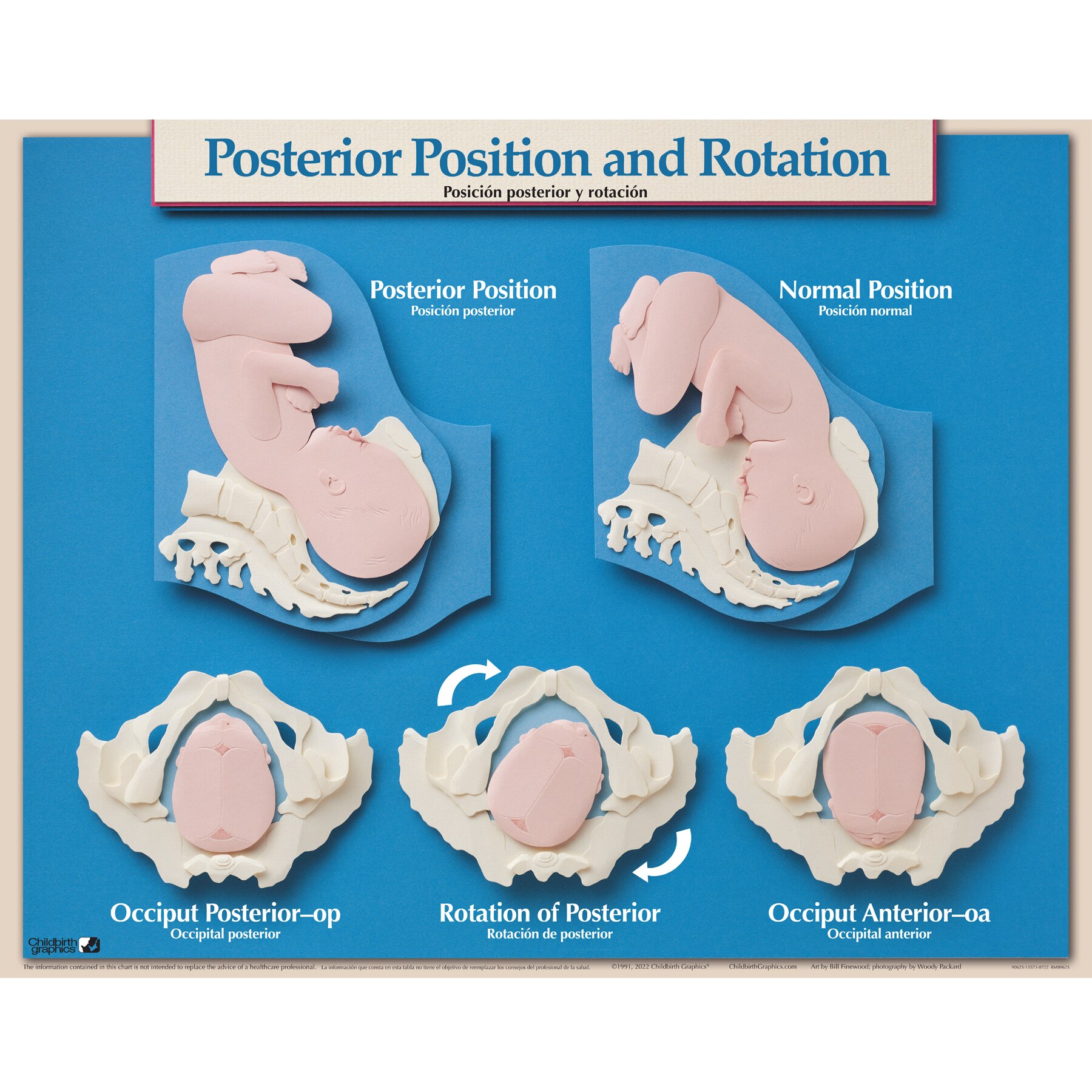 Childbirth Education Products Childbirth Graphics