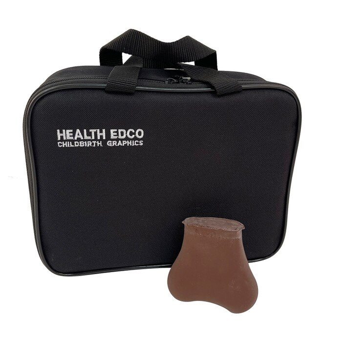 Brown TSE Model, Two Lumps In Each Testicle Health Edco