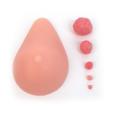 interchangeable nodules breast self-examination model, multiple sized breast lumps, realistic, palpable synthetic tissue, Health Edco, 26504