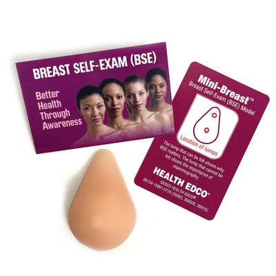 Mini-Breast BSE Model, Translucent Blue