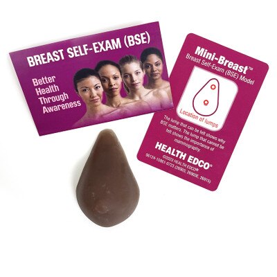 Mini-Breast Model, Brown