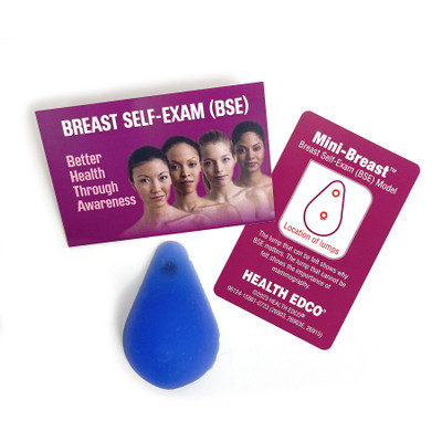 Mini-Breast Model, realistic feel, simulates 2 breast lump types, blue color, hand holding model, Health Edco, 26912