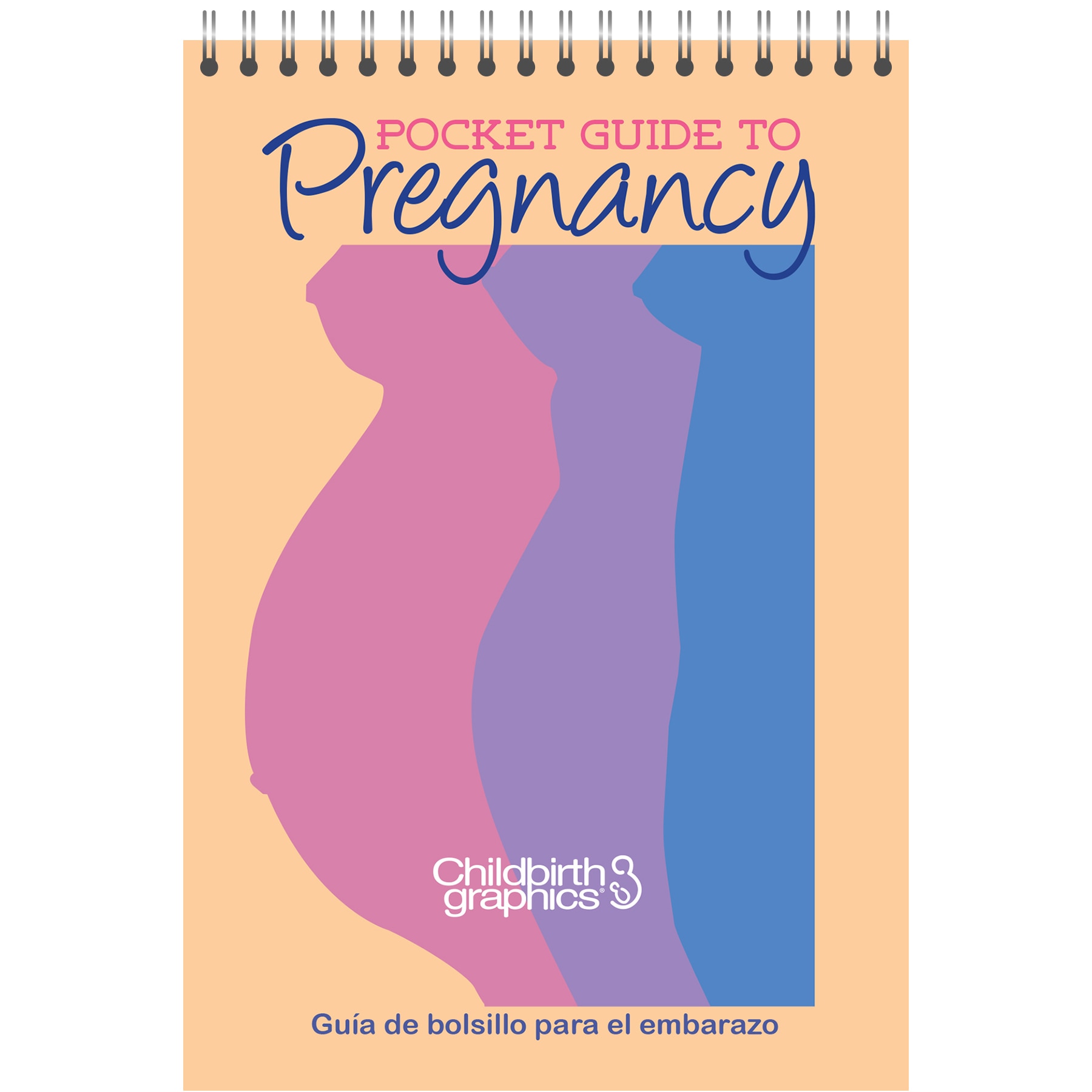 Pregnancy Education Materials & Models Childbirth Graphics