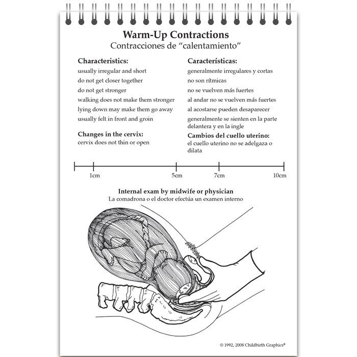 pocket-sized guide to pregnancycontractions image, details changes in woman's body during pregnancy, bilingual, Childbirth Graphics, 38501