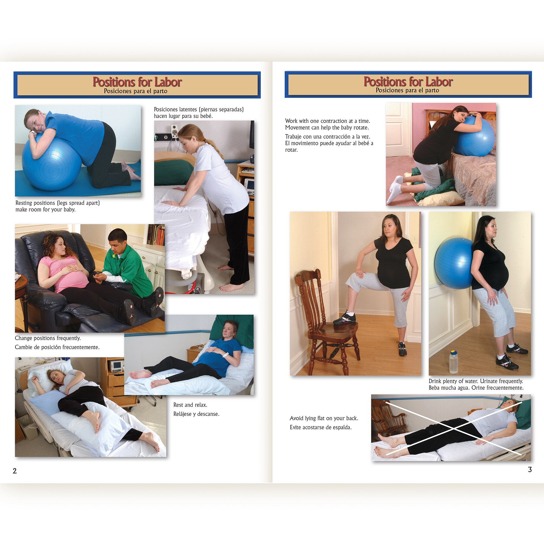 Birth Companion Booklet English Spanish Childbirth Graphics