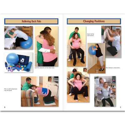 Birth Companion Booklet Childbirth Graphics