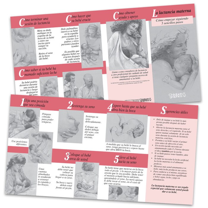 breastfeeding 5 easy steps pamphlet in Spanish, 2-color breastfeeding pamphlet Spanish language with black and white illustrations inside and outside shown, Childbirth Graphics, 38531