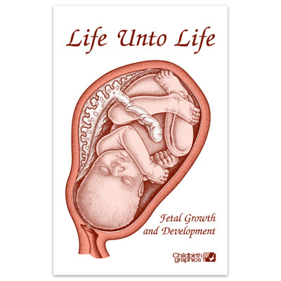 Life Unto Life Booklet from Childbirth Graphics, childbirth education materials and handouts to teach about pregnancy, 38535