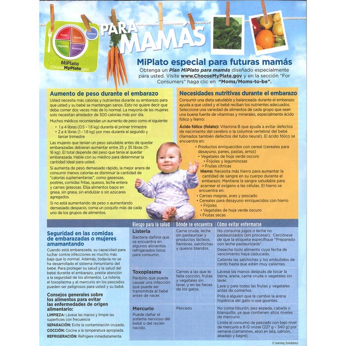 MyPlate for Expectant Moms Tear Pad Spanish, nutrition guideline future moms back, Childbirth Graphics, 39987