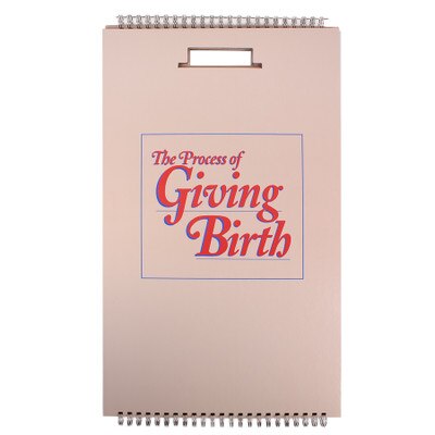 The Process of Giving Birth Flip Chart, childbirth education teaching bound chart set, cover, Childbirth Graphics, 43301