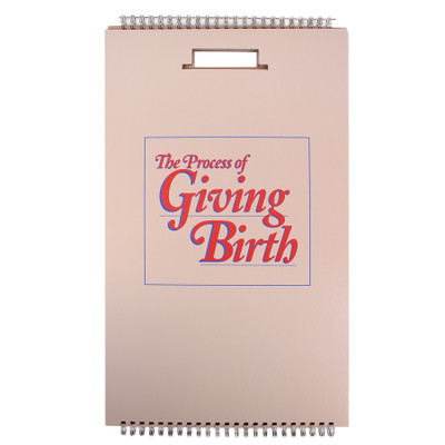 Process of Giving Birth illustrated flip chart pink blue cover, Childbirth Graphics 43301