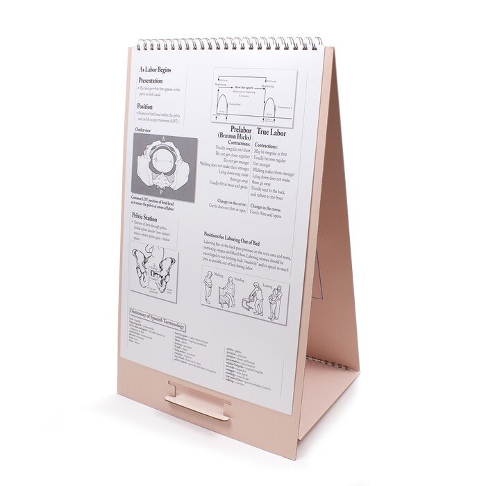 The Process of Giving Birth Flip Chart, bound chart set, teaching notes side of start of labor, Childbirth Graphics, 43301
