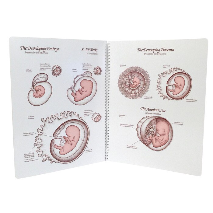 Life Unto Life Spiral-Bound Charts, childbirth education materials to explain fetal development, Childbirth Graphics, 43302