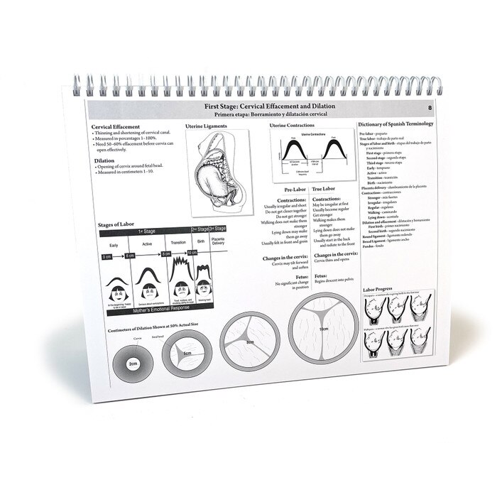 Childbearing: The Classic Series Desk Version Flip Chart, teaching chart back notes on dilation, Childbirth Graphics, 50702
