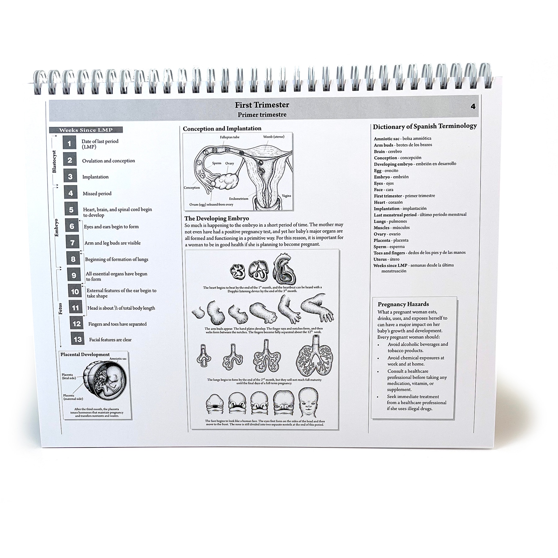 Spiral Binding Size Chart