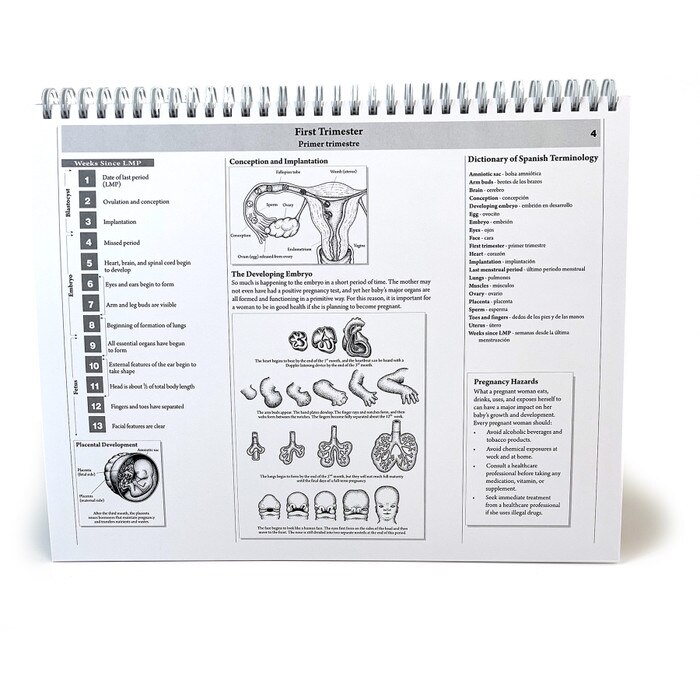 Childbearing: The Classic Series Desk Version Flip Chart, 1st trimester chart back teaching notes, Childbirth Graphics, 50702