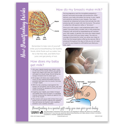 How Breastfeeding Works Tear Pad, Childbirth Graphics breastfeeding and lactation education handout, English side, 52513