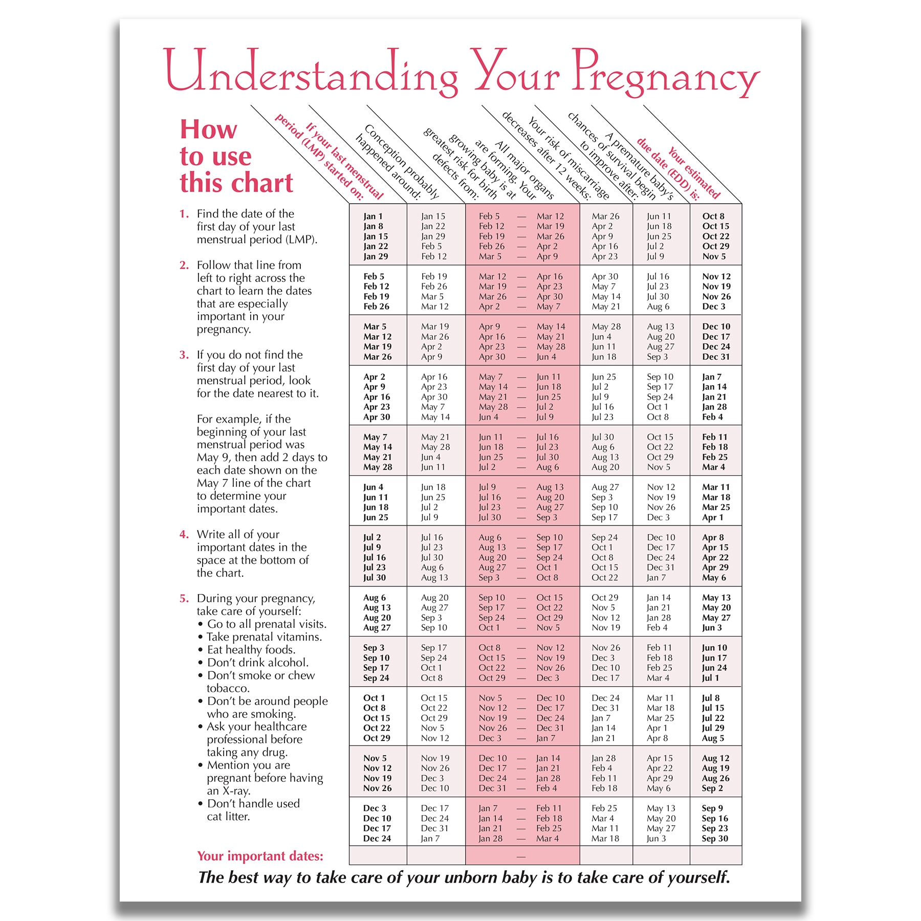 Pregnacy Chart