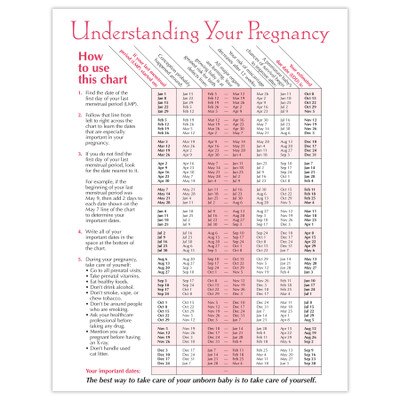 Timeline Of Pregnancy Tear Pad Childbirth Graphics
