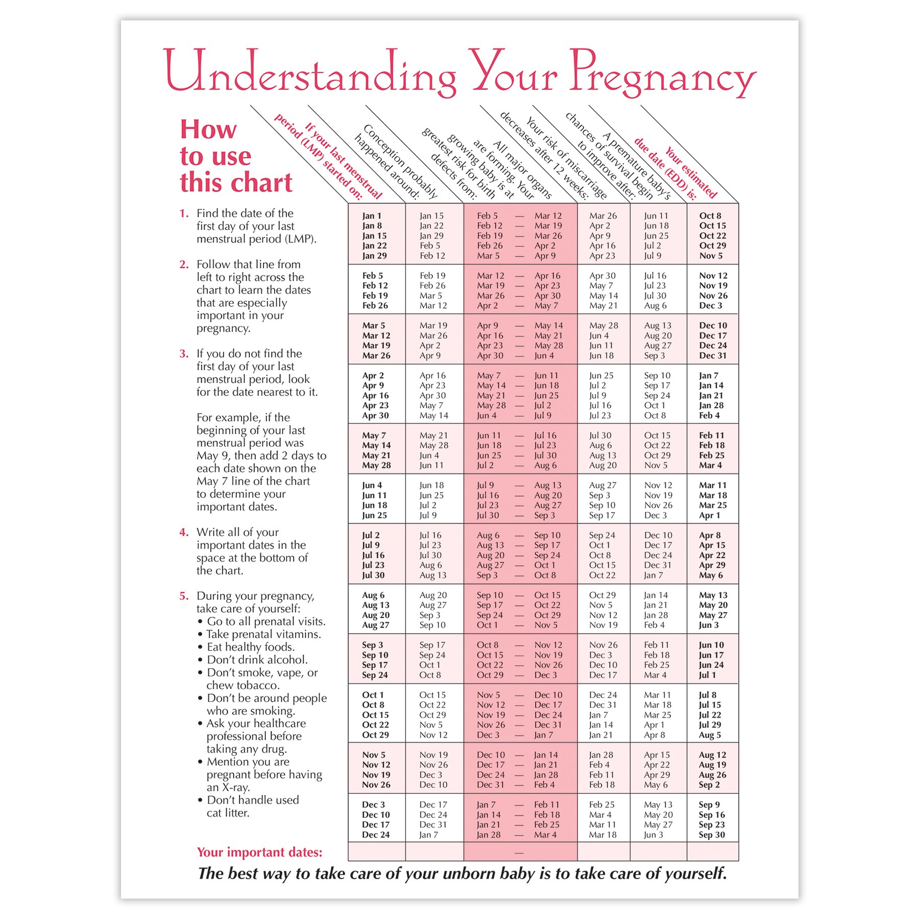 Timeline Of Pregnancy Tear Pad Childbirth Graphics
