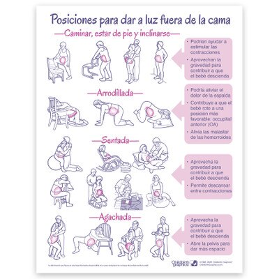 Poop Color Guide Tear Pad - Bilingual