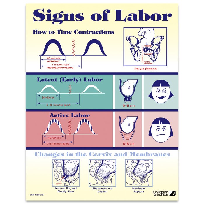 Signs of Labor Educational Tear Pad Childbirth Graphics
