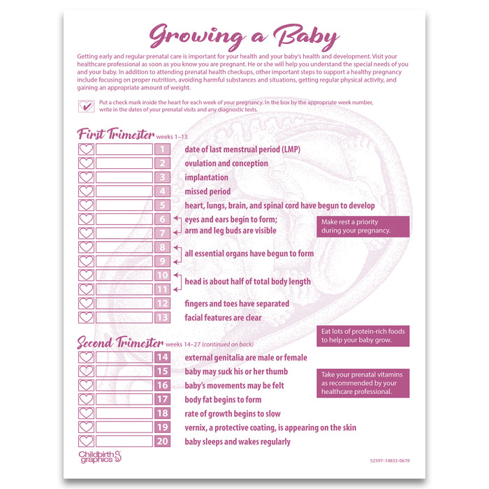 Growing a Baby pregnancy education tear pad from Childbirth Graphics that tracks weekly fetal development in pregnancy, 52597