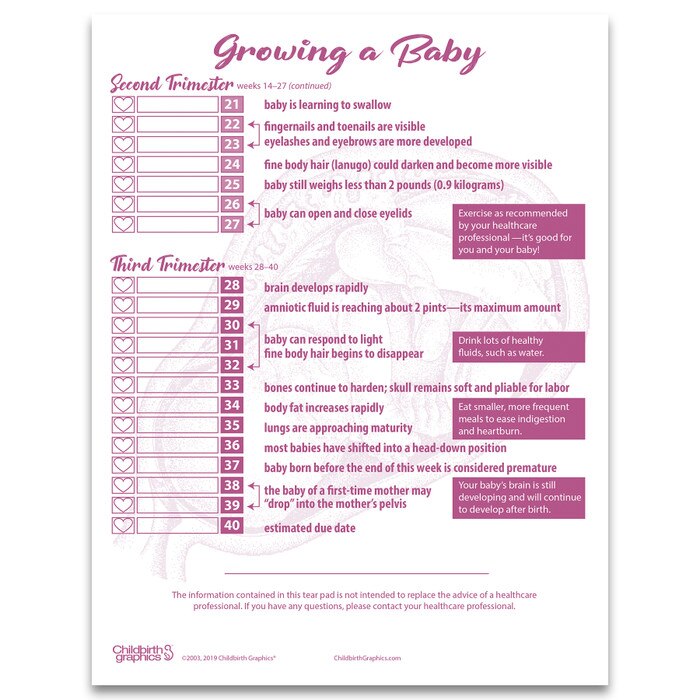 Growing A Baby Pregnancy Tear Pad | Childbirth Graphics