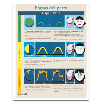 Stages of Labor Tear Pad in Spanish for childbirth education from Childbirth Graphics, childbirth teaching materials, 52604