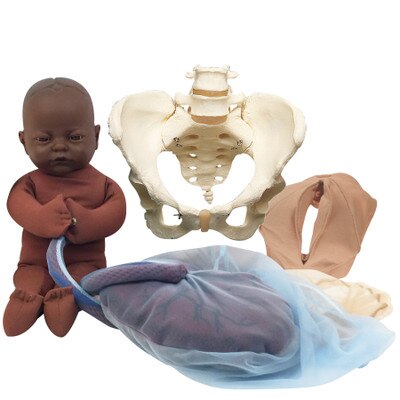 Vinyl Pelvic Model Set With Dark Brown Fetal Model, childbirth education labor teaching tool, Childbirth Graphics, 53002