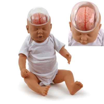 Shaken Baby Demonstration Model, beige baby doll wearing onesie with clear plastic head & pink brain inside, Health Edco, 53501