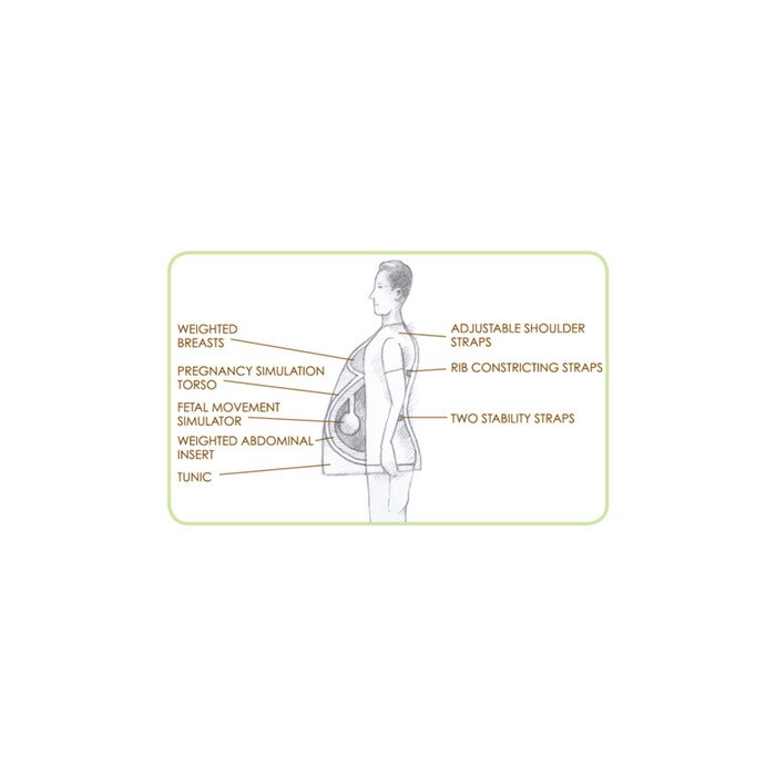 With Child Simulator, childbirth education vest and activity to simulate pregnancy, Childbirth Graphics, 54427