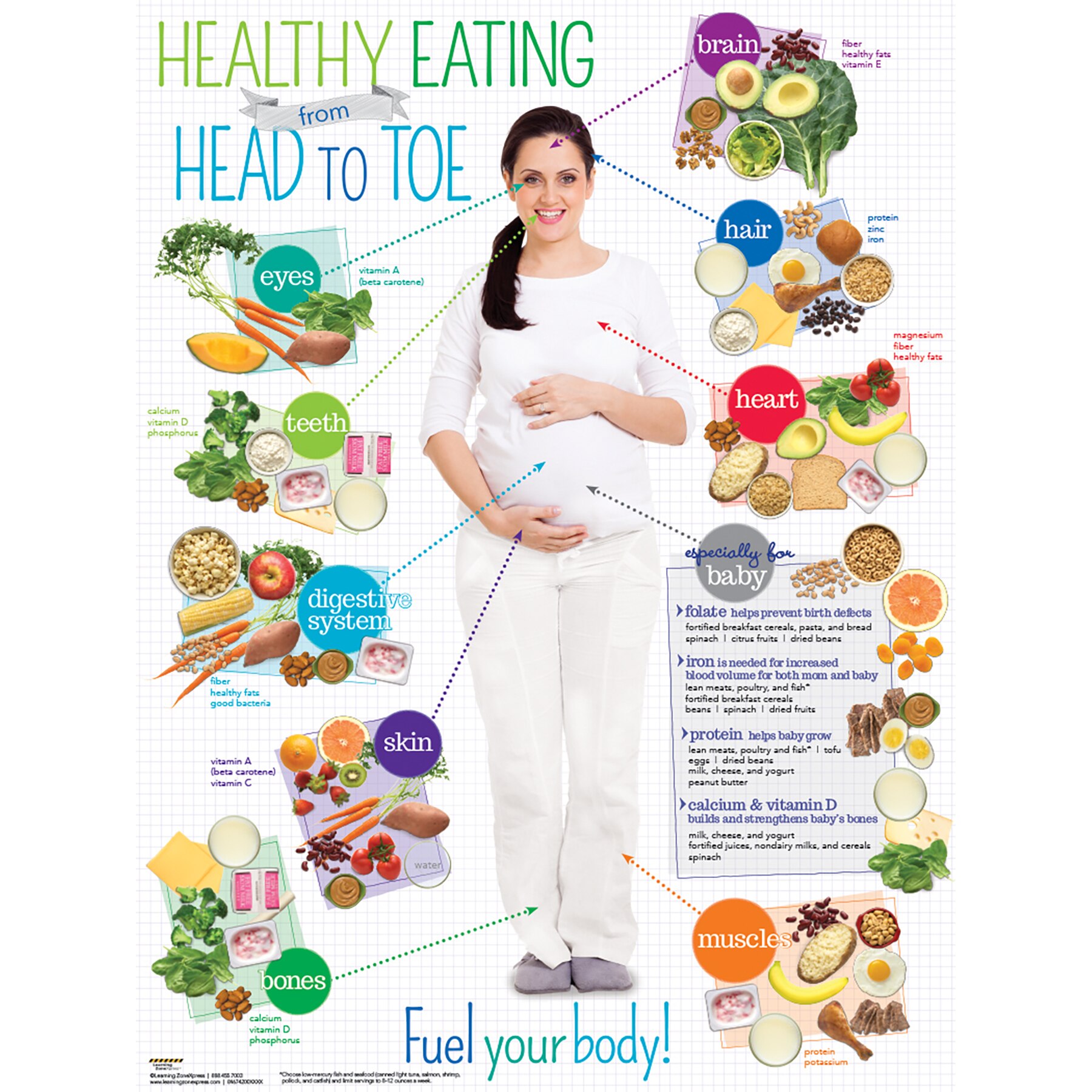 Download Healthy Diet For Expecting Moms Poster | Childbirth Graphics