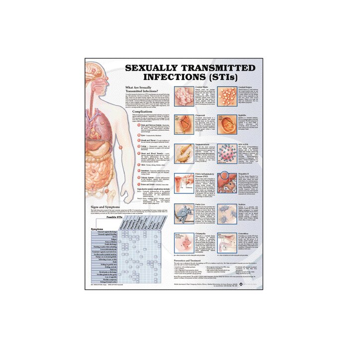 Anatomy Chart Sexually Transmitted Infections Health Edco