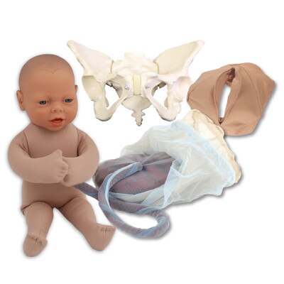 Deluxe Flexible Pelvis Model Set With Beige Fetal Model, childbirth education model set, Childbirth Graphics, 78500