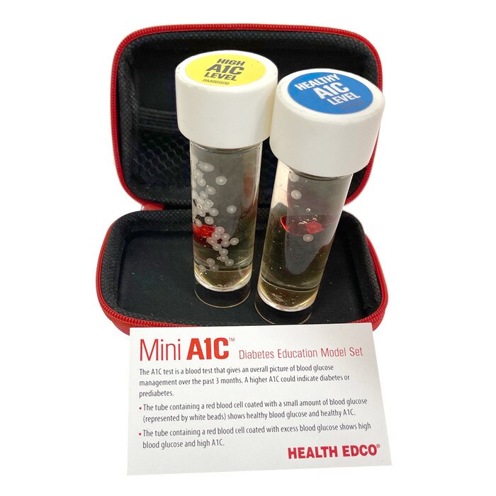 Mini A1C Diabetes Education Model Set Health Edco