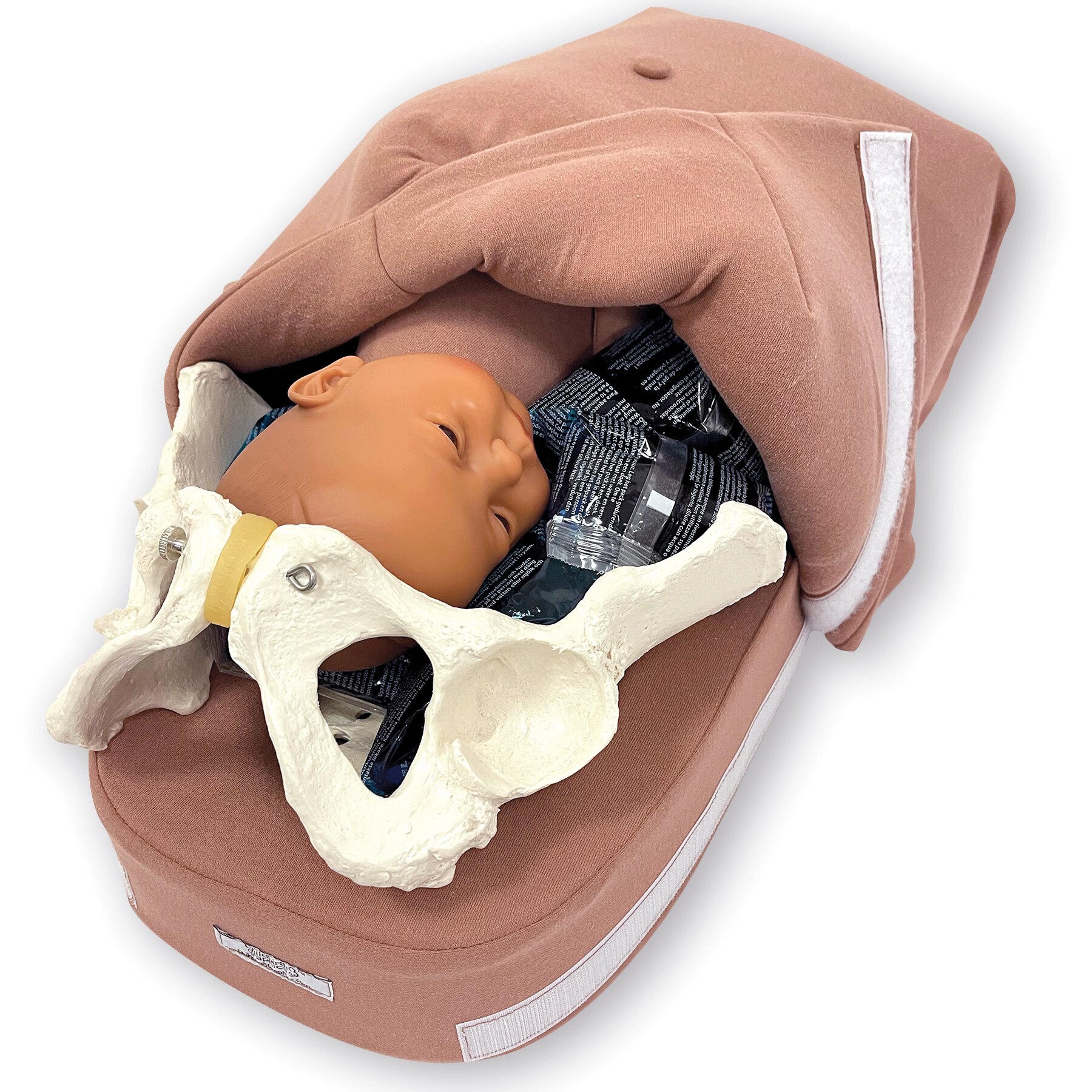 Abdominal Palpation Model Set | Childbirth Graphics