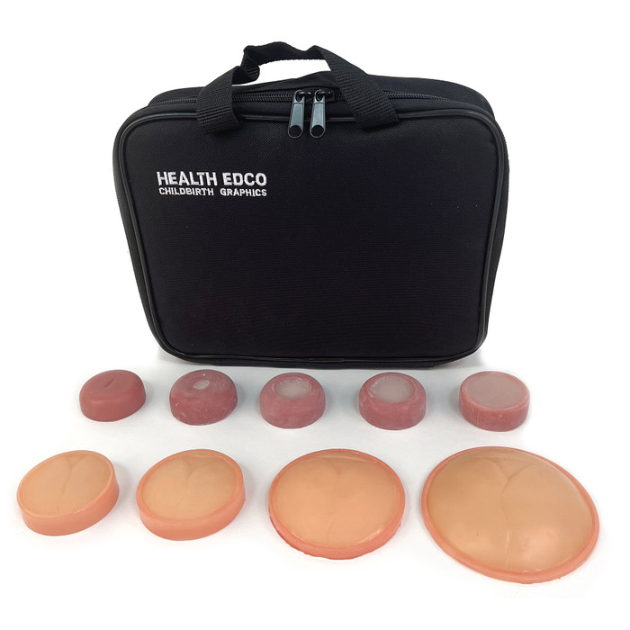 Individual Cervical Dilatation Models, cervical dilation childbirth teaching models with case, Childbirth Graphics, 78959