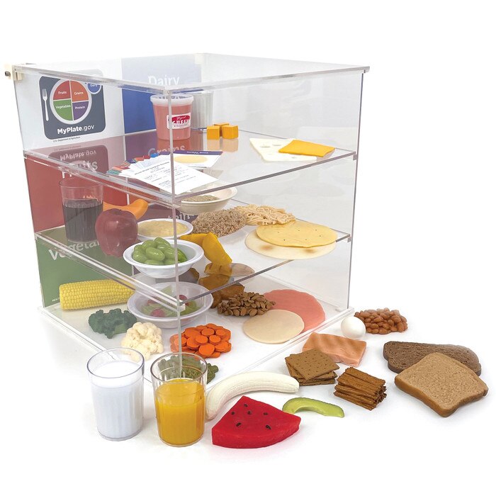 MyPlate Plexiglas Display & Food Model Package Health Edco