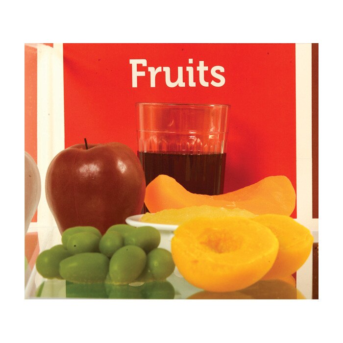 MyPlate Plexiglas Display & Food Model Package Health Edco