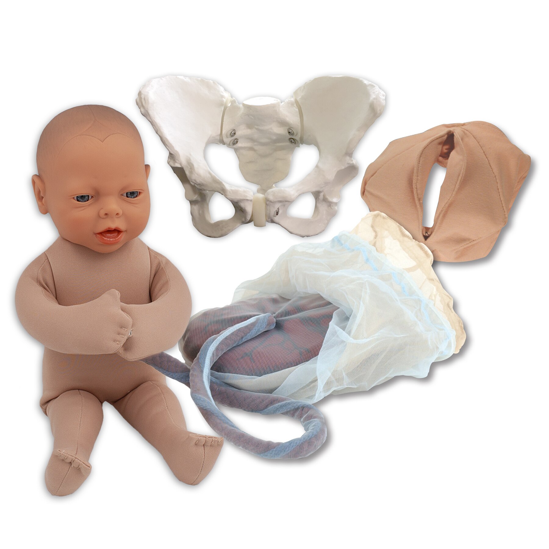Educational Childbirth Model Set Childbirth Graphics