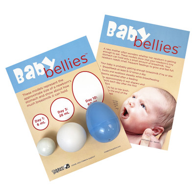 Baby Bellies Newborn Stomach Size Breastfeeding Education Display, childbirth education materials, Childbirth Graphics, 79077