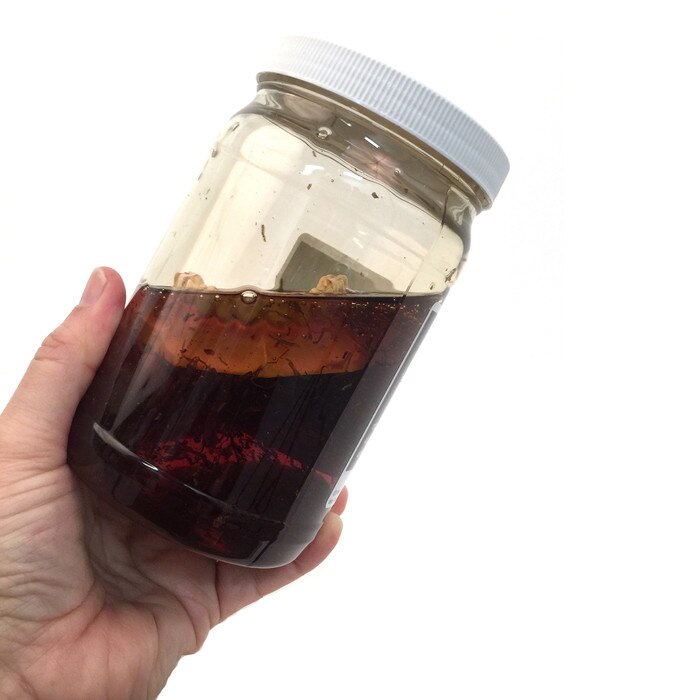 Teeth In Smokeless Tobacco Juice Model Health Edco