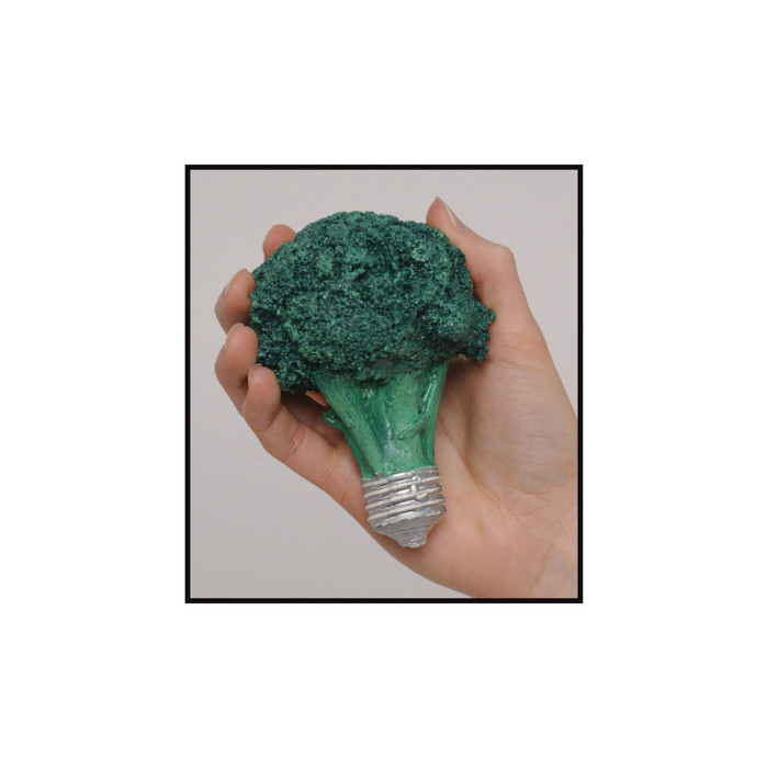 Visualize Your Portion Size Nutrition Education Display broccoli / light bulb portion size model, Health Edco, 79204