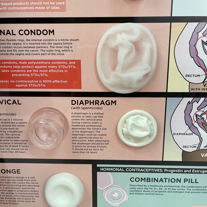 A Guide to Contraceptives Kit, Health Edco health and sex education 3-D display, detail of barrier method models, 79256