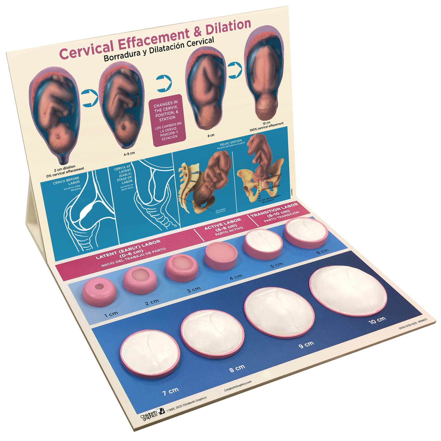 cervical effacement dilation chart childbirth graphics labor dilation and effacement chart