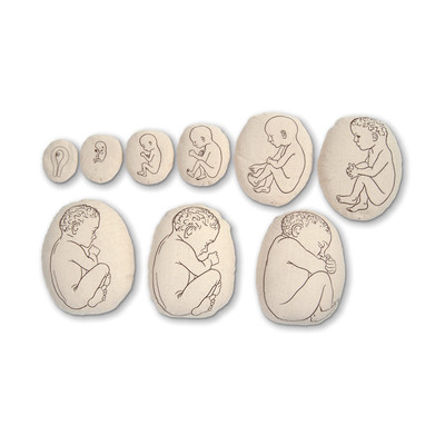 Womb to Grow Model Set, nine pillowlike childbirth education models with image of growing fetus, Childbirth Graphics, 79869