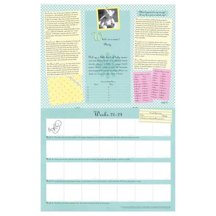 The Pregnancy Calendar by Childbirth Graphics, calendar page showing weeks 21 to 24 of fetal development and emotions, 85779