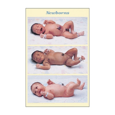 Newborn Size Comparison Chart, 3 separate full-term baby photos hispanic black caucasian each lying on back, Childbirth Graphics, 89635
