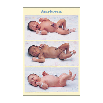 Newborn Size Comparison Chart, 3 separate full-term baby photos hispanic black caucasian each lying on back, Childbirth Graphics, 89635